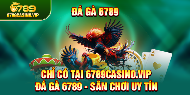 Chiến Kê thomo– Ngoại Hình, Sức Mạnh & Phong Độ